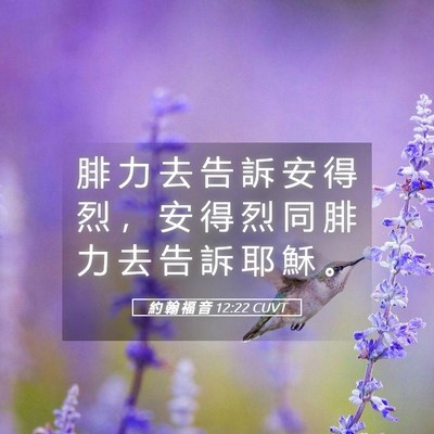 Picture 05 - 約 翰 福 音 12:22 CUVT - 腓 力 去 告 訴 安 得 烈 ， 安 得 烈 - Bible Verse Picture