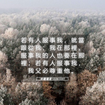 Picture 05 - 約 翰 福 音 12:26 CUVT - 若 有 人 服 事 我 ， 就 當 跟 從 我 - Bible Verse Picture