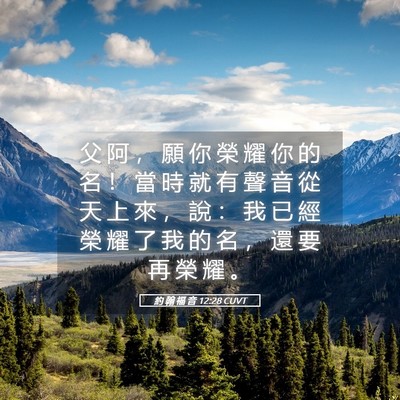 Picture 05 - 約 翰 福 音 12:28 CUVT - 父 阿 ， 願 你 榮 耀 你 的 名 ！ 當 - Bible Verse Picture