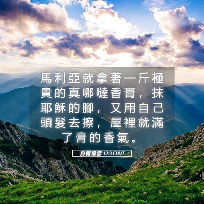 Picture 05 - 約 翰 福 音 12:3 CUVT - 馬 利 亞 就 拿 著 一 斤 極 貴 的 真 - Bible Verse Picture