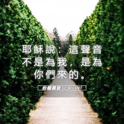Picture 05 - 約 翰 福 音 12:30 CUVT - 耶 穌 說 ： 這 聲 音 不 是 為 我 ， - Bible Verse Picture