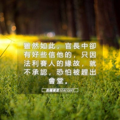 Picture 05 - 約 翰 福 音 12:42 CUVT - 雖 然 如 此 ， 官 長 中 卻 有 好 些 - Bible Verse Picture