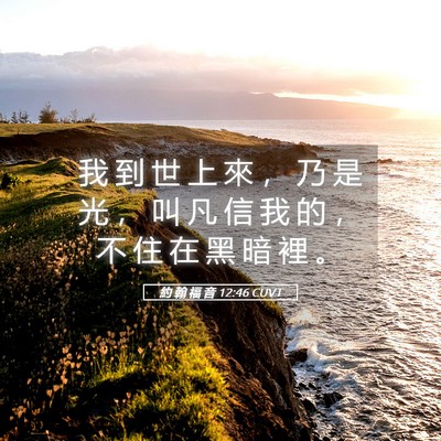 Picture 05 - 約 翰 福 音 12:46 CUVT - 我 到 世 上 來 ， 乃 是 光 ， 叫 凡 - Bible Verse Picture