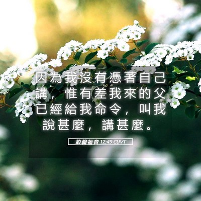 Picture 05 - 約 翰 福 音 12:49 CUVT - 因 為 我 沒 有 憑 著 自 己 講 ， 惟 - Bible Verse Picture