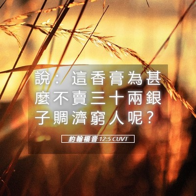 Picture 05 - 約 翰 福 音 12:5 CUVT - 說 ： 這 香 膏 為 甚 麼 不 賣 三 十 - Bible Verse Picture