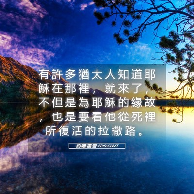 Picture 05 - 約 翰 福 音 12:9 CUVT - 有 許 多 猶 太 人 知 道 耶 穌 在 那 - Bible Verse Picture