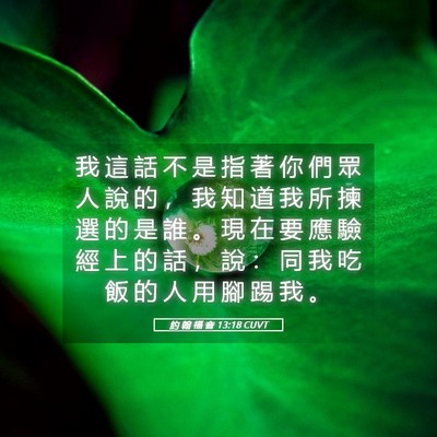 Picture 05 - 約 翰 福 音 13:18 CUVT - 我 這 話 不 是 指 著 你 們 眾 人 說 - Bible Verse Picture
