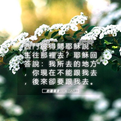 Picture 05 - 約 翰 福 音 13:36 CUVT - 西 門 彼 得 問 耶 穌 說 ： 主 往 那 - Bible Verse Picture