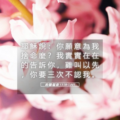 Picture 05 - 約 翰 福 音 13:38 CUVT - 耶 穌 說 ： 你 願 意 為 我 捨 命 麼 - Bible Verse Picture