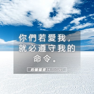 Picture 05 - 約 翰 福 音 14:15 CUVT - 你 們 若 愛 我 ， 就 必 遵 守 我 的 - Bible Verse Picture