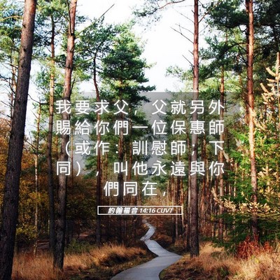 Picture 05 - 約 翰 福 音 14:16 CUVT - 我 要 求 父 ， 父 就 另 外 賜 給 你 - Bible Verse Picture