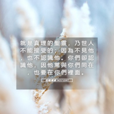 Picture 05 - 約 翰 福 音 14:17 CUVT - 就 是 真 理 的 聖 靈 ， 乃 世 人 不 - Bible Verse Picture
