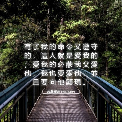 Picture 05 - 約 翰 福 音 14:21 CUVT - 有 了 我 的 命 令 又 遵 守 的 ， 這 - Bible Verse Picture