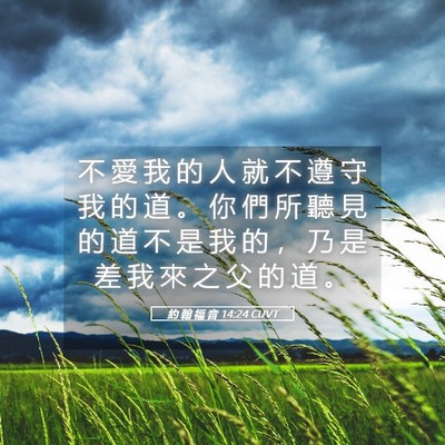 Picture 05 - 約 翰 福 音 14:24 CUVT - 不 愛 我 的 人 就 不 遵 守 我 的 道 - Bible Verse Picture