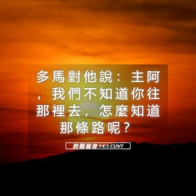 Picture 05 - 約 翰 福 音 14:5 CUVT - 多 馬 對 他 說 ： 主 阿 ， 我 們 不 - Bible Verse Picture