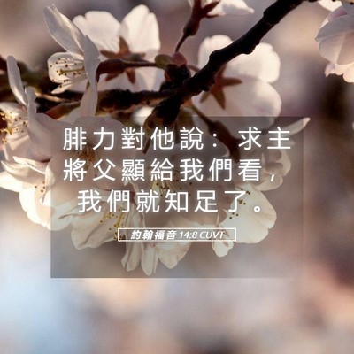 Picture 05 - 約 翰 福 音 14:8 CUVT - 腓 力 對 他 說 ： 求 主 將 父 顯 給 - Bible Verse Picture
