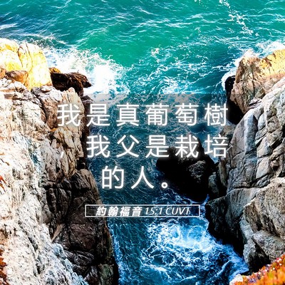 Picture 05 - 約 翰 福 音 15:1 CUVT - 我 是 真 葡 萄 樹 ， 我 父 是 栽 培 - Bible Verse Picture