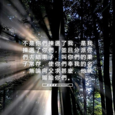 Picture 05 - 約 翰 福 音 15:16 CUVT - 不 是 你 們 揀 選 了 我 ， 是 我 揀 - Bible Verse Picture