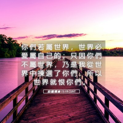 Picture 05 - 約 翰 福 音 15:19 CUVT - 你 們 若 屬 世 界 ， 世 界 必 愛 屬 - Bible Verse Picture