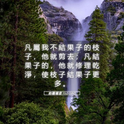 Picture 05 - 約 翰 福 音 15:2 CUVT - 凡 屬 我 不 結 果 子 的 枝 子 ， 他 - Bible Verse Picture