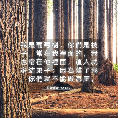 Picture 05 - 約 翰 福 音 15:5 CUVT - 我 是 葡 萄 樹 ， 你 們 是 枝 子 。 - Bible Verse Picture