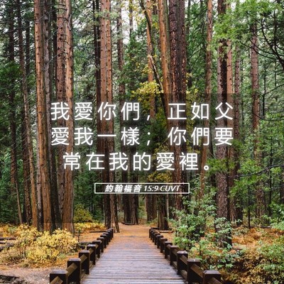 Picture 05 - 約 翰 福 音 15:9 CUVT - 我 愛 你 們 ， 正 如 父 愛 我 一 樣 - Bible Verse Picture
