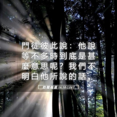 Picture 05 - 約 翰 福 音 16:18 CUVT - 門 徒 彼 此 說 ： 他 說 等 不 多 時 - Bible Verse Picture