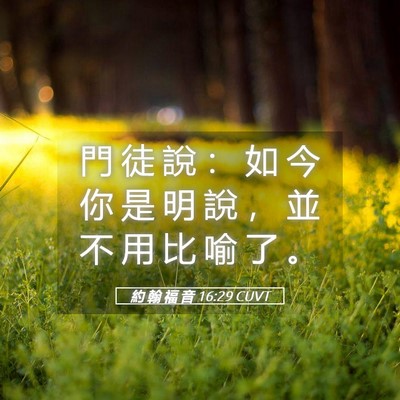 Picture 05 - 約 翰 福 音 16:29 CUVT - 門 徒 說 ： 如 今 你 是 明 說 ， 並 - Bible Verse Picture