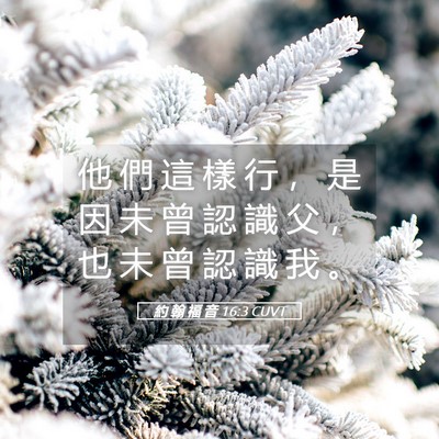 Picture 05 - 約 翰 福 音 16:3 CUVT - 他 們 這 樣 行 ， 是 因 未 曾 認 識 - Bible Verse Picture