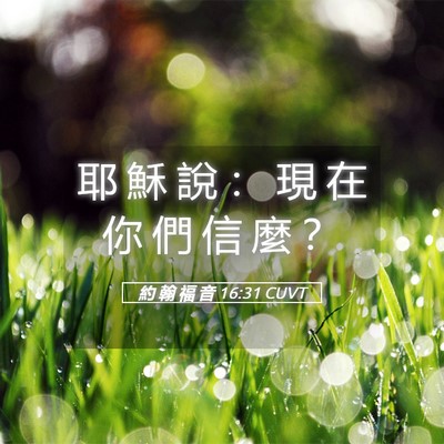 Picture 05 - 約 翰 福 音 16:31 CUVT - 耶 穌 說 ： 現 在 你 們 信 麼 - Bible Verse Picture