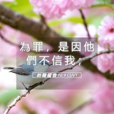 Picture 05 - 約 翰 福 音 16:9 CUVT - 為 罪 ， 是 因 他 們 不 信 我 - Bible Verse Picture