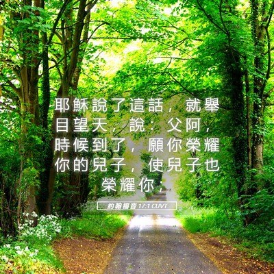 Picture 05 - 約 翰 福 音 17:1 CUVT - 耶 穌 說 了 這 話 ， 就 舉 目 望 天 - Bible Verse Picture