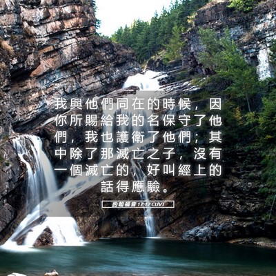 Picture 05 - 約 翰 福 音 17:12 CUVT - 我 與 他 們 同 在 的 時 候 ， 因 你 - Bible Verse Picture