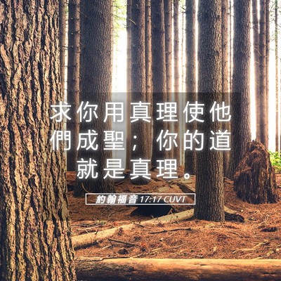 Picture 05 - 約 翰 福 音 17:17 CUVT - 求 你 用 真 理 使 他 們 成 聖 ； 你 - Bible Verse Picture