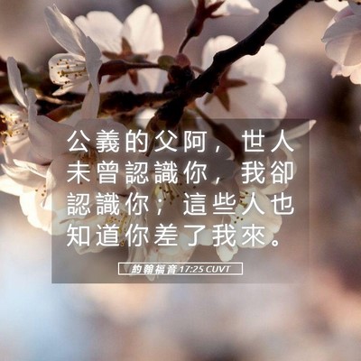 Picture 05 - 約 翰 福 音 17:25 CUVT - 公 義 的 父 阿 ， 世 人 未 曾 認 識 - Bible Verse Picture