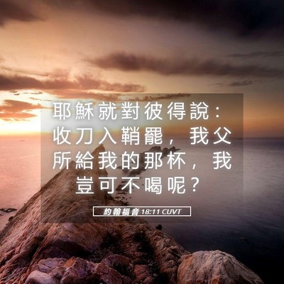 Picture 05 - 約 翰 福 音 18:11 CUVT - 耶 穌 就 對 彼 得 說 ： 收 刀 入 鞘 - Bible Verse Picture