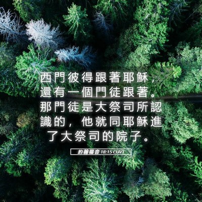Picture 05 - 約 翰 福 音 18:15 CUVT - 西 門 彼 得 跟 著 耶 穌 ， 還 有 一 - Bible Verse Picture