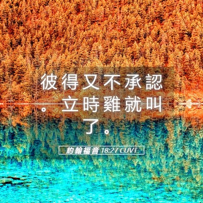 Picture 05 - 約 翰 福 音 18:27 CUVT - 彼 得 又 不 承 認 。 立 時 雞 就 叫 - Bible Verse Picture