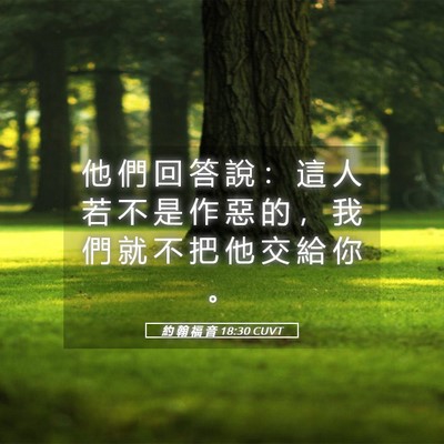 Picture 05 - 約 翰 福 音 18:30 CUVT - 他 們 回 答 說 ： 這 人 若 不 是 作 - Bible Verse Picture