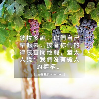 Picture 05 - 約 翰 福 音 18:31 CUVT - 彼 拉 多 說 ： 你 們 自 己 帶 他 去 - Bible Verse Picture
