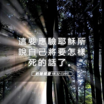 Picture 05 - 約 翰 福 音 18:32 CUVT - 這 要 應 驗 耶 穌 所 說 自 己 將 要 - Bible Verse Picture