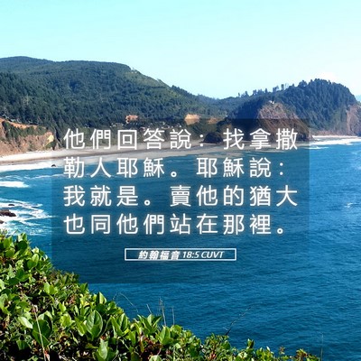Picture 05 - 約 翰 福 音 18:5 CUVT - 他 們 回 答 說 ： 找 拿 撒 勒 人 耶 - Bible Verse Picture