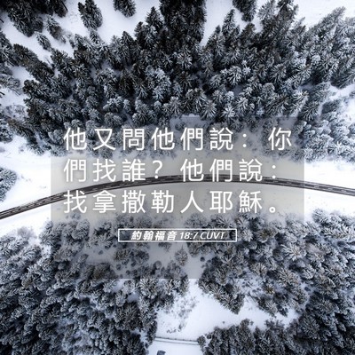 Picture 05 - 約 翰 福 音 18:7 CUVT - 他 又 問 他 們 說 ： 你 們 找 誰 ？ - Bible Verse Picture