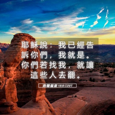 Picture 05 - 約 翰 福 音 18:8 CUVT - 耶 穌 說 ： 我 已 經 告 訴 你 們 ， - Bible Verse Picture