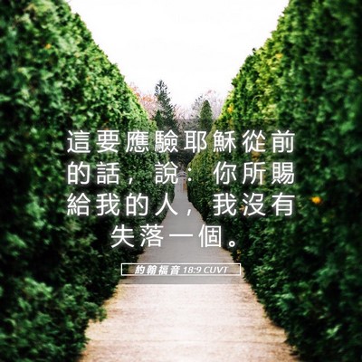 Picture 05 - 約 翰 福 音 18:9 CUVT - 這 要 應 驗 耶 穌 從 前 的 話 ， 說 - Bible Verse Picture