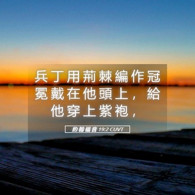Picture 05 - 約 翰 福 音 19:2 CUVT - 兵 丁 用 荊 棘 編 作 冠 冕 戴 在 他 - Bible Verse Picture