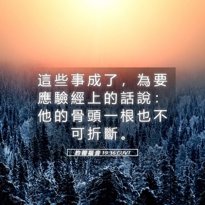 Picture 05 - 約 翰 福 音 19:36 CUVT - 這 些 事 成 了 ， 為 要 應 驗 經 上 - Bible Verse Picture