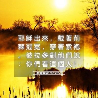 Picture 05 - 約 翰 福 音 19:5 CUVT - 耶 穌 出 來 ， 戴 著 荊 棘 冠 冕 ， - Bible Verse Picture