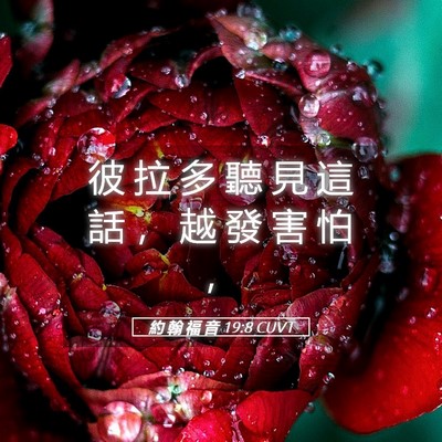 Picture 05 - 約 翰 福 音 19:8 CUVT - 彼 拉 多 聽 見 這 話 ， 越 發 害 怕 - Bible Verse Picture