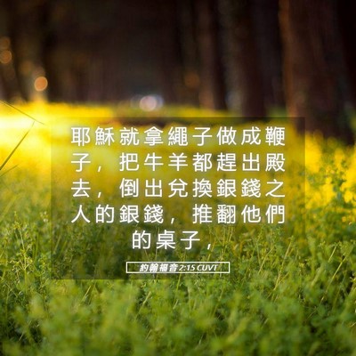Picture 05 - 約 翰 福 音 2:15 CUVT - 耶 穌 就 拿 繩 子 做 成 鞭 子 ， 把 - Bible Verse Picture